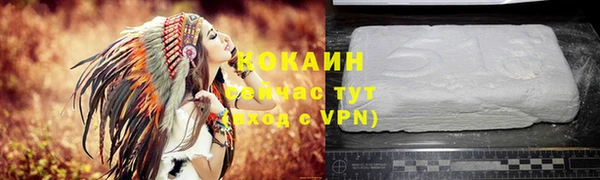 apvp Верея