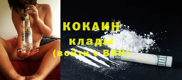 apvp Верея