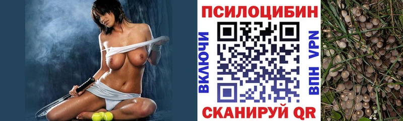 сколько стоит  Невель  Галлюциногенные грибы Cubensis 